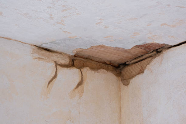 Best Fire Damage Restoration  in Point Marion, PA
