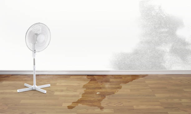 Best Flood restoration services  in Point Marion, PA