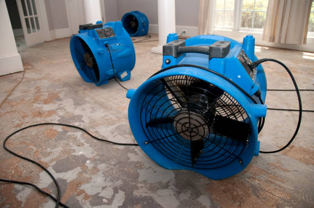 Best Basement water damage restoration  in Point Marion, PA
