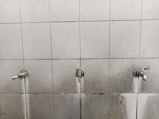 Best Professional water damage repair  in Point Marion, PA
