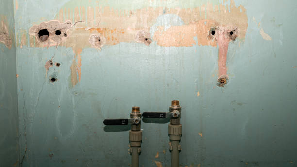 Best 24-hour water damage restoration  in Point Marion, PA