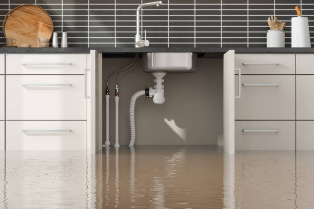 Best Local water damage restoration  in Point Marion, PA