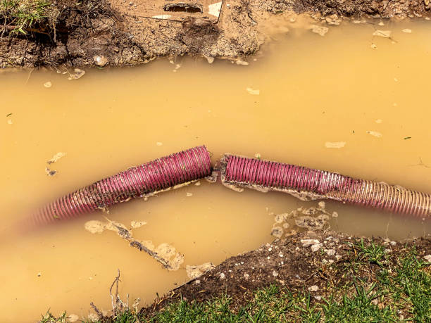 Point Marion, PA Water damage restoration Company